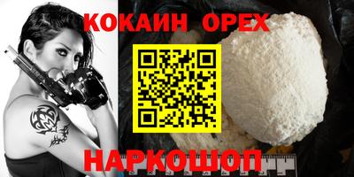 крисы Камышлов