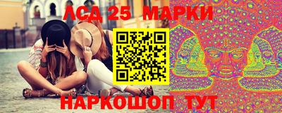 крисы Камышлов