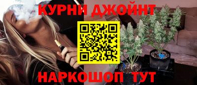 крисы Камышлов