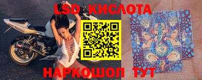 крисы Камышлов